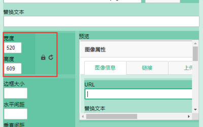 CKEditor 禁止 img 标签自动添加 style 样式 - 禁止自动设置 width 和 height